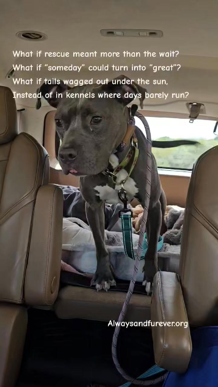 Video — April 25 2026