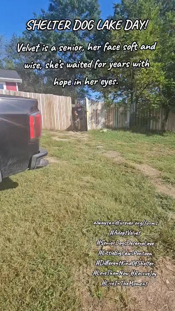 Video — September 30 2025