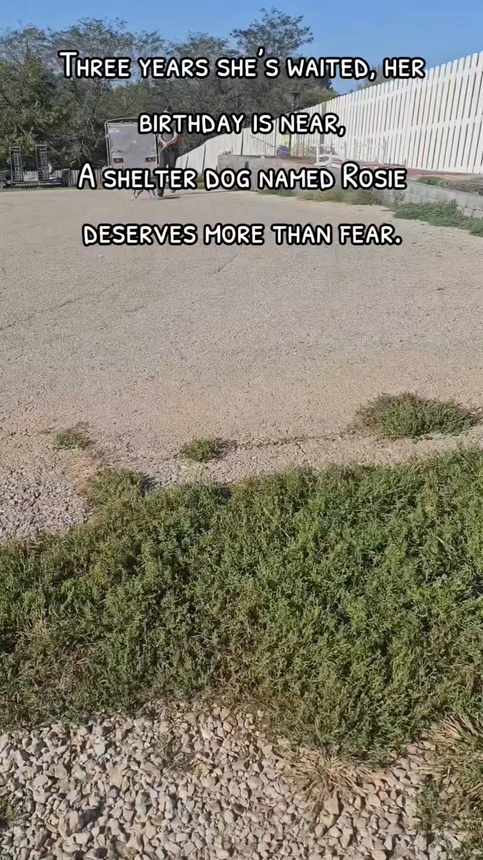 Video — September 27 2025