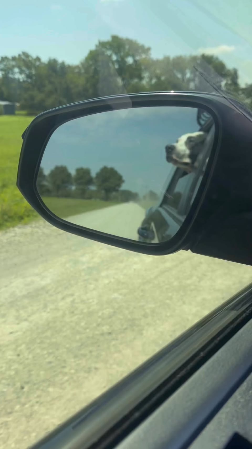 Video — August 4 2025