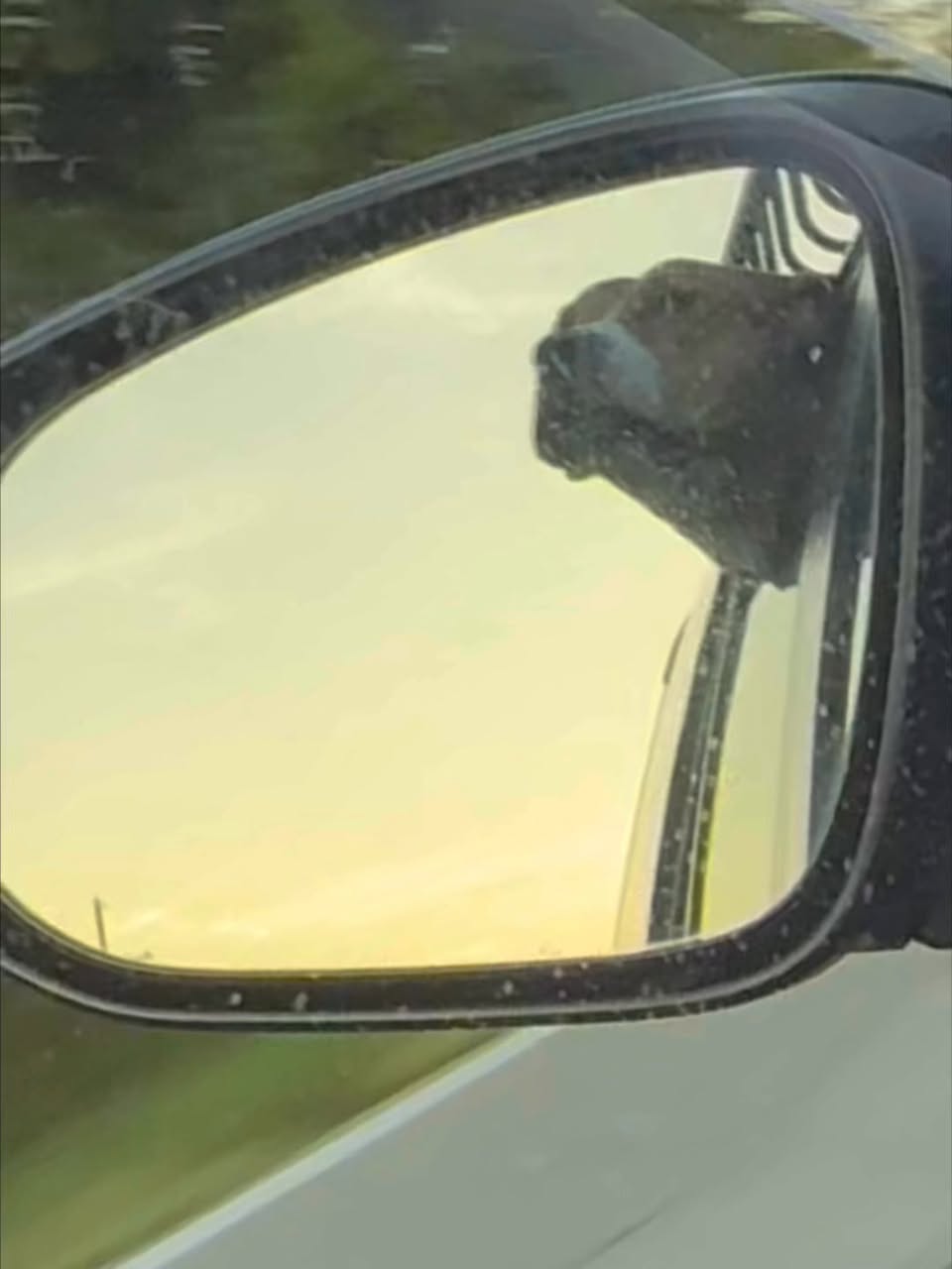 Video — July 28 2025