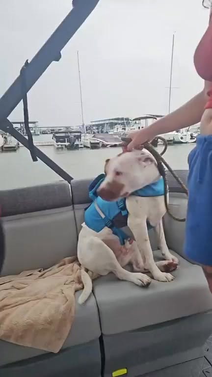 Video — July 22 2025