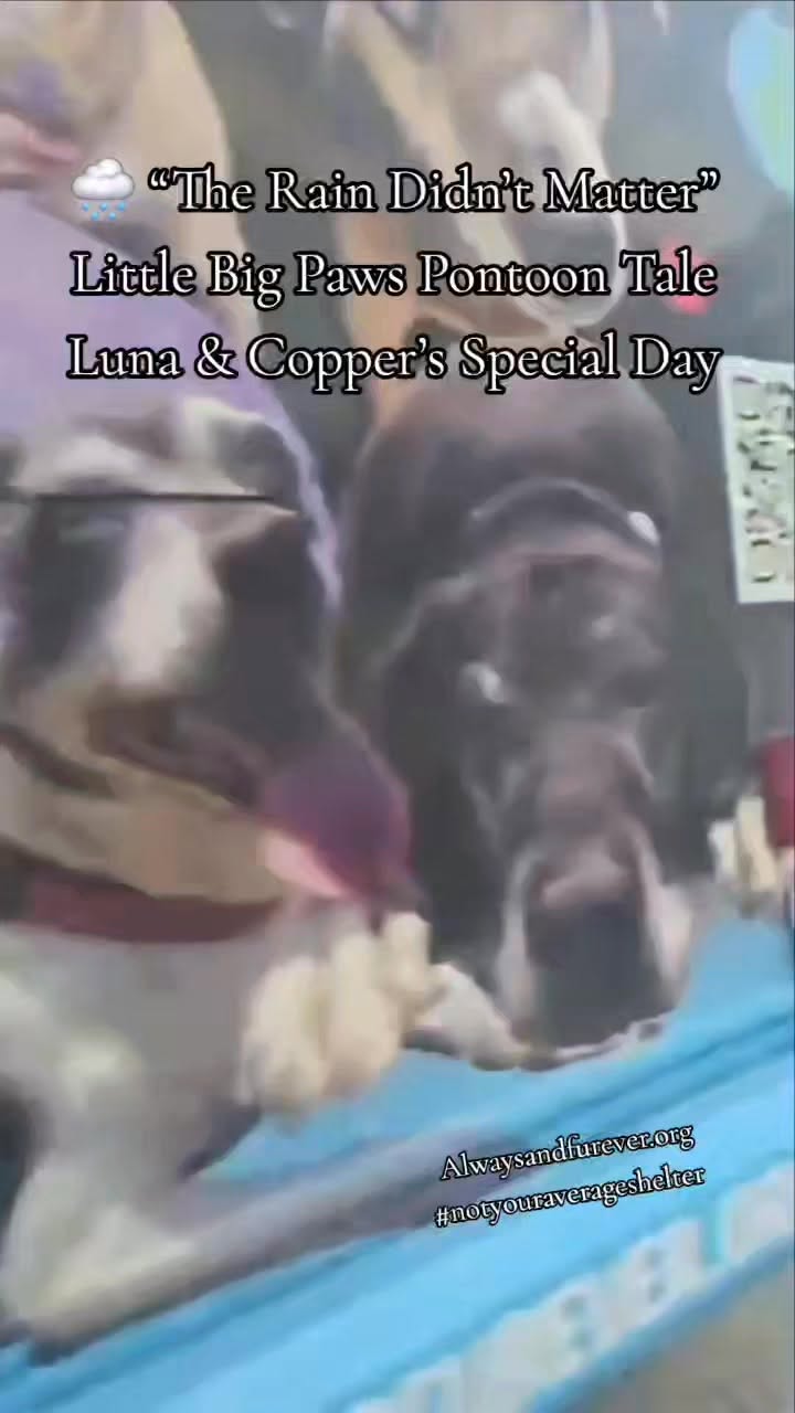 Video — July 21 2025